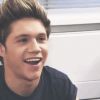 Niall Horan, do One Direction, está solteiro e pode estar de namoro com Ariana Grande