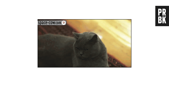 Olhar de reprovação para o pirralho jogando estalinho