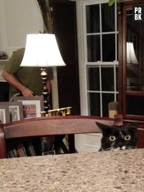 Alguém está com um mal pressentimento