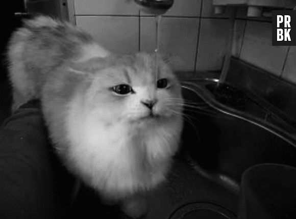 Ser indiferente também é uma arte!