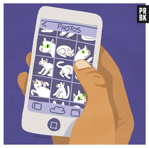 Com um gatinho, essas são as fotos do seu celular