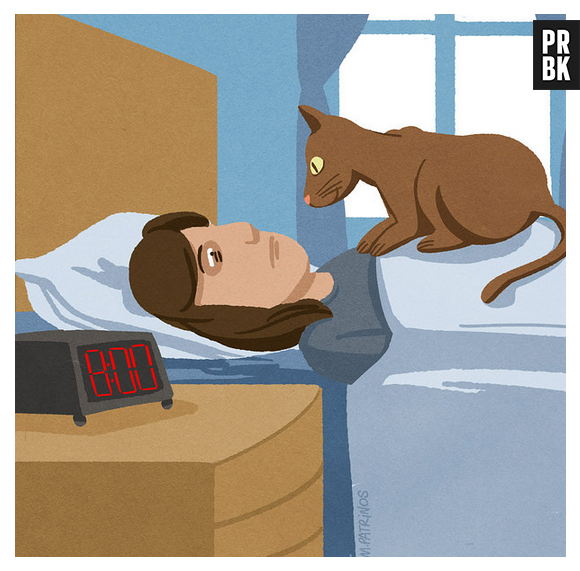 Com um gato em casa você pode aposentar o seu despertador