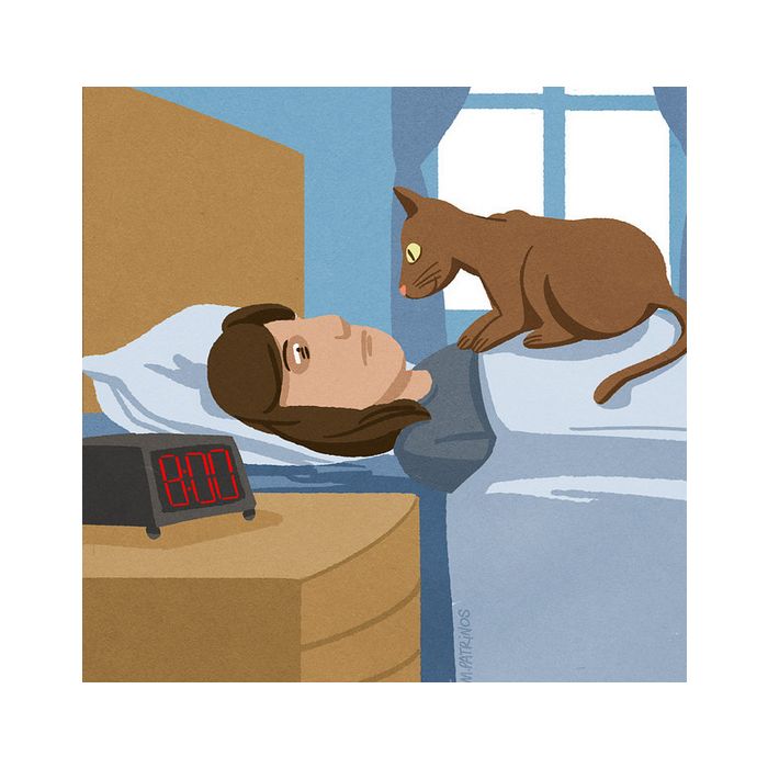 Com um gato em casa você pode aposentar o seu despertador