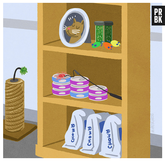 Donos de gatos compram tudo relacionado ao bichinho