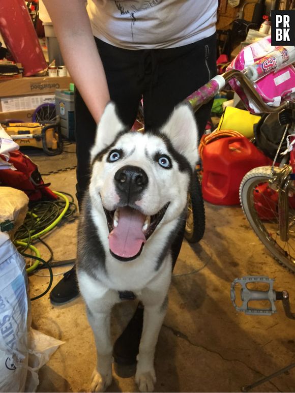 Olha esse sorriso! Será que ele está assim por que vai passear de bicicleta?