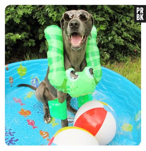 Não tem como ficar triste quando se está aproveitando uma piscina dessa, né?