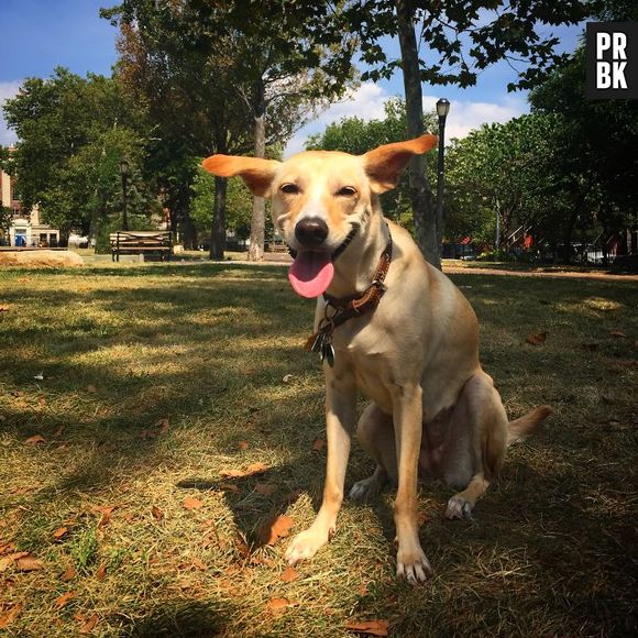 Nada como um dia no parque pra dar uma relaxada depois de uma semana de trabalho, né?