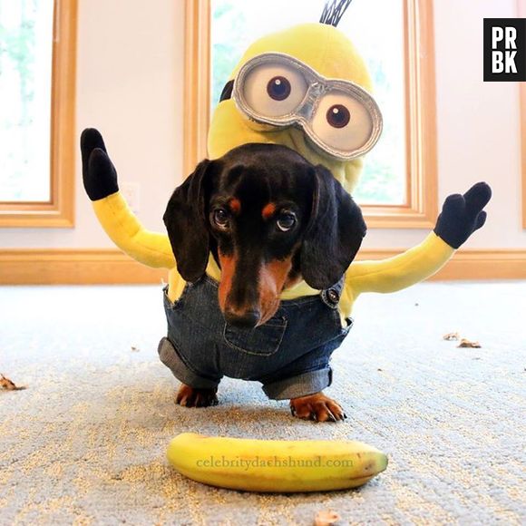 Até Crusoe virou um Minion