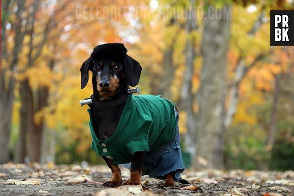 Crusoe é o melhor Frankenstein que você já viu!