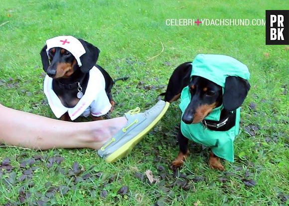 Crusoe chegou para te ajudar!