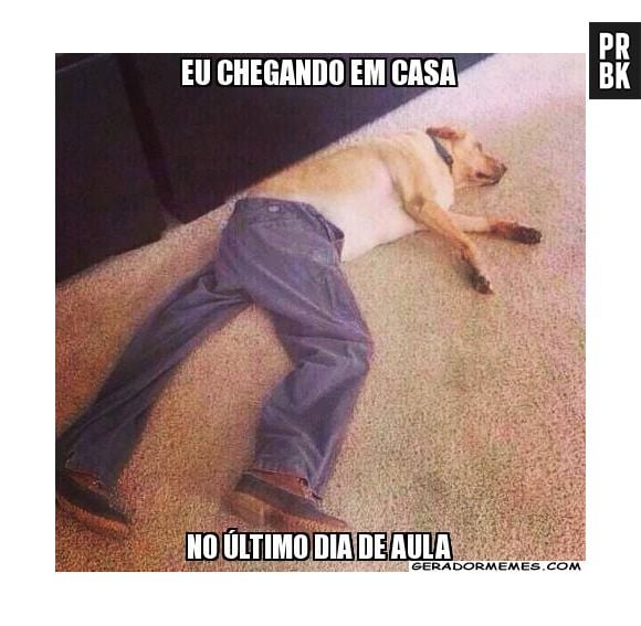 Já pode pular para as férias?