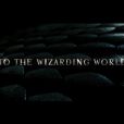  De "Animais Fantásticos e Onde Habitam": o filme é dirigido por David Yates, o mesmo de "Harry Potter e as Relíquias da Morte" 