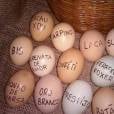 Os ovos de páscoa estão caros? Veja 7 coisas que você pode comprar economizando esse dinheiro!