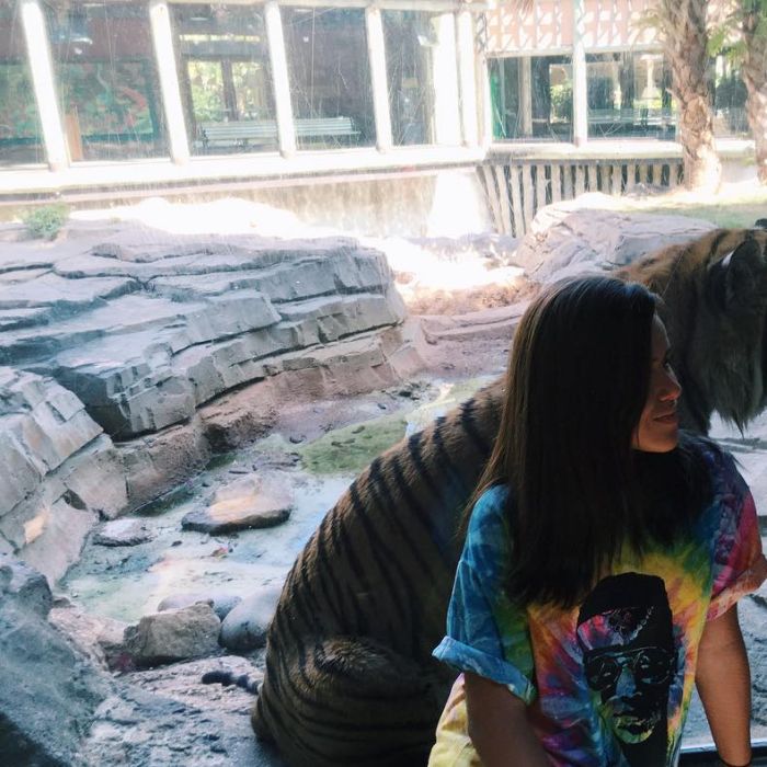Maisa Silva não tem medo do perigo e se diverte com os tigres em Orlando, nos EUA!