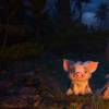 "Moana" estreia em janeiro de 2017