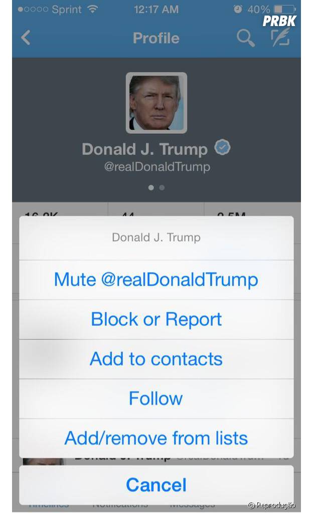 Usuária questiona se silenciar alguém é um novo recurso do Twitter