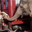  Robert Pattinson no filme "&Aacute;gua para Elefantes", de 2011! 