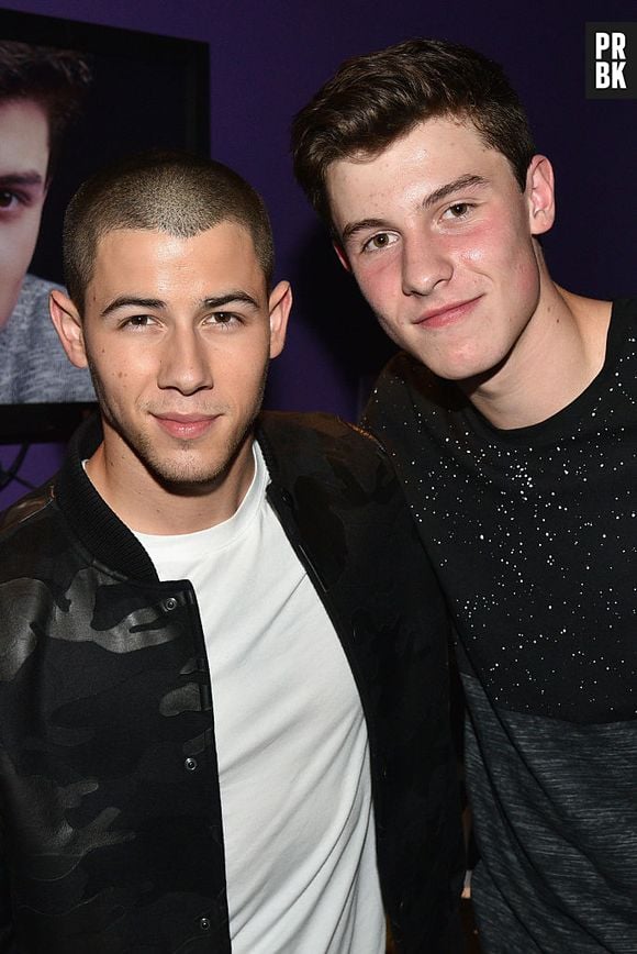 Nick Jonas e Shawn Mendes estão mesmo namorando?