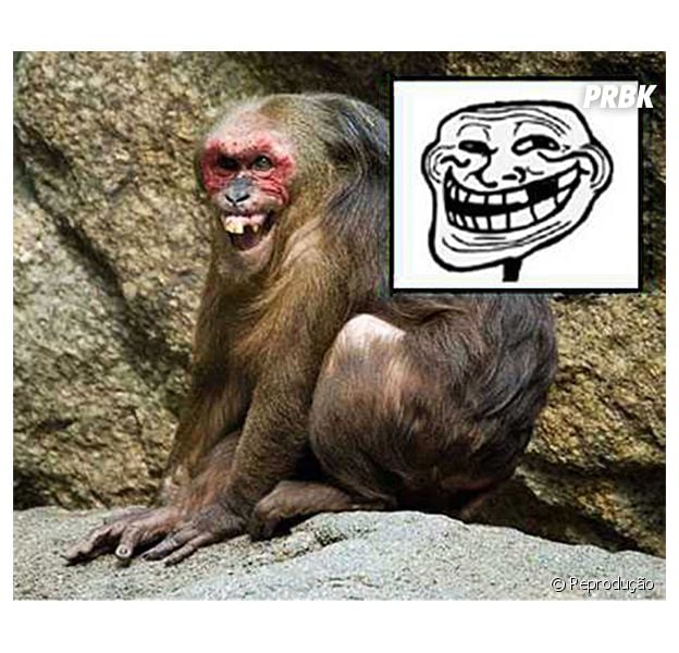 O macaco mais troll do mundo!
