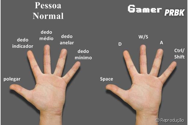 Anatomia de um gamer