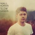  Também do One Direction, Niall Horan lançou o clipe de sua música "Slow Hands" 
