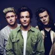  Após a pausa da boyband, os meninos do One Direction investiram em projetos solo 
