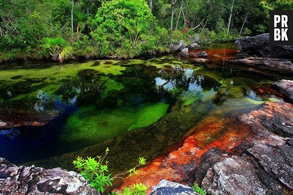 Rio colorido da Colômbia ficou famoso no mundo!