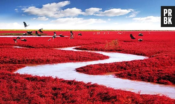 Praia de Pandalings, na China