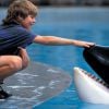 A relação homem x animal é lindamente representada em "Free Willy"