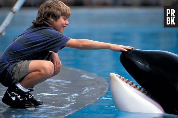 A relação homem x animal é lindamente representada em "Free Willy"