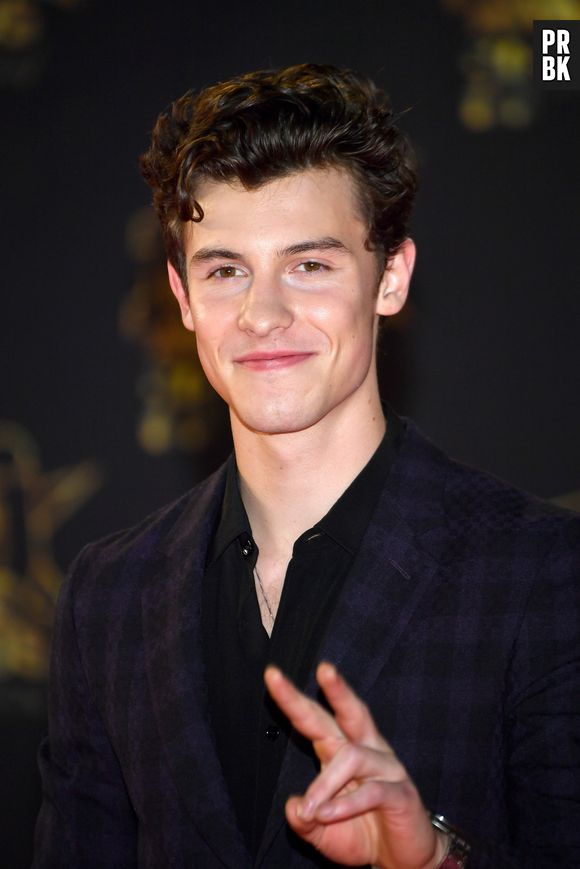 Shawn Mendes é barrado em bar na Irlanda por ser menor de idade