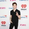 Shawn Mendes ainda é considerado menor de idade na Europa e é barrado em bar