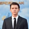 Tom Holland quer ver mais representatividade nos filmes da Marvel