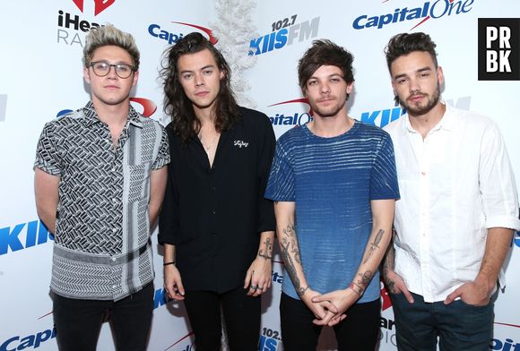 Quem aí está contando os dias para esse suposto retorno do One Direction?