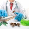 Anvisa libera venda de produtos à base de cannabis no Brasil