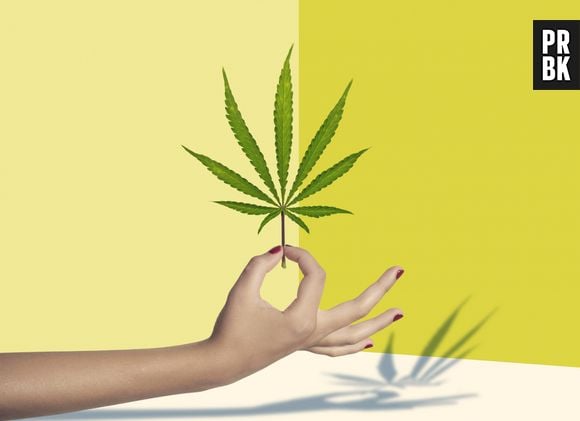 Entenda a legalização da maconha para uso medicinal no Brasil