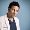"Grey's Anatomy": Alex Karev (Justin Chambers) deixou a série na 16ª temporada