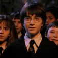 Novo projeto irá reunir vários famosos na leitura da saga "Harry Potter"
  