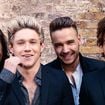 A comemoração de 10 anos do One Direction vai acontecer, de acordo com jornal britânico
