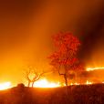 Presidente Bolsonaro associa queimadas no Pantanal e Amazônia a índios e caboclos