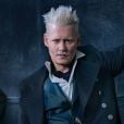 Após demissão de Johnny Depp, será feito nova seleção para o papel  Grindelwald em "Animais Fantásticos" 
