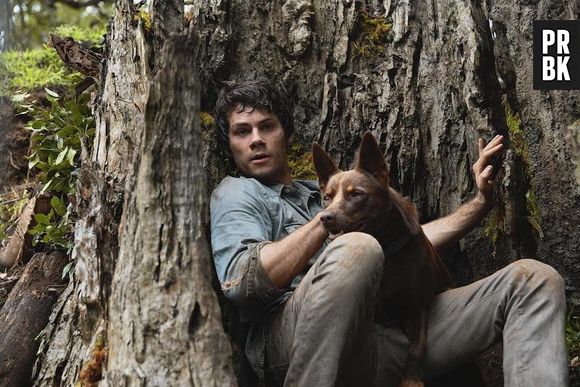 "Amor e Monstros": filme está concorrendo na categoria de Melhores Efeitos Visuais do Oscar 2021