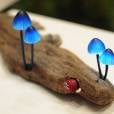  Cogumelos do filme "Avatar" agora na vers&atilde;o abajur 