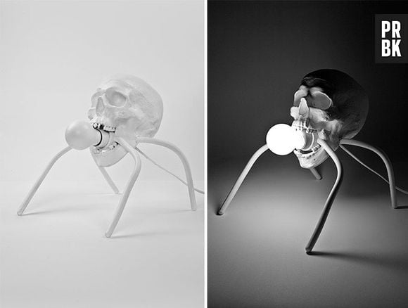 Um crânio com pernas de aranha para iluminar os momentos de estudo