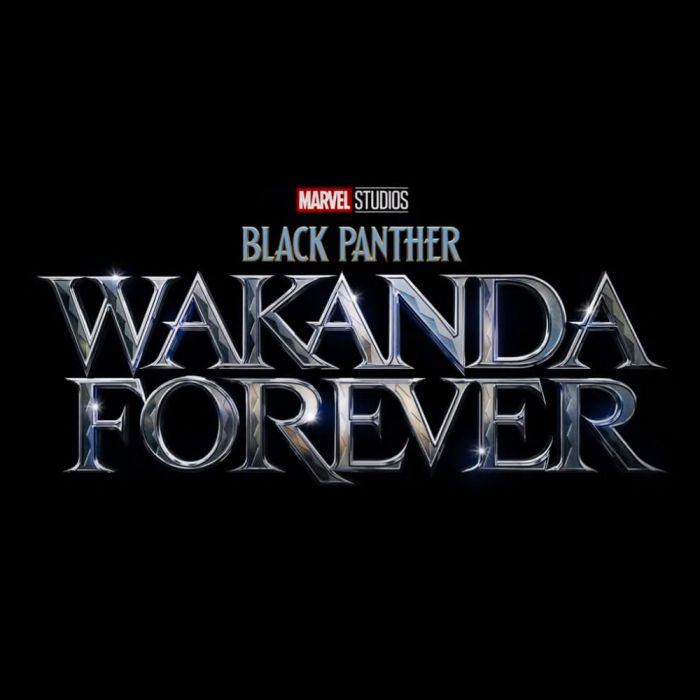 Sequência de &quot;Pantera Negra&quot;, da Marvel, se chamará &quot;Wakanda Forever&quot; e estreia em 2022