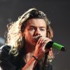 Mais uma foto do Harry Styles de cabelão, pois ele merece destaque