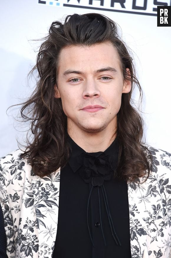 O cabelo longo de Harry Styles merecia uma galeria inteira em sua homenagem