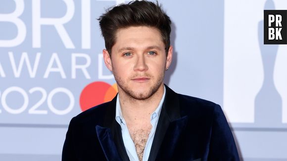 Niall Horan já lançou dois álbuns desde o fim do One Direction, com um estilo mais folk e soft pop