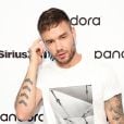 Depois do fim do One Direction, Liam Payne lançou um álbum solo, com colaborações de artistas como Quavo, Rita Ora, J. Balvin e Zedd
