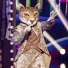 "The Masked Singer Brasil": fãs suspeitam que onça pintada pode ser Alexandre Nero e Nelson Freitas